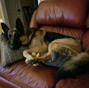 Meet your Posher, Anthony